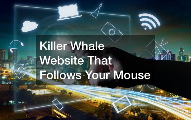 Killer Whale Website That Follows Your Mouse